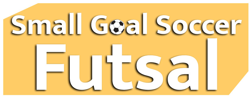 small goal soccer futsal